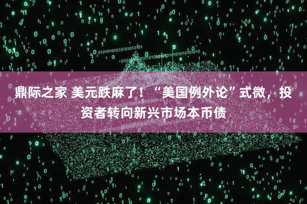 鼎际之家 美元跌麻了！“美国例外论”式微，投资者转向新兴市场本币债