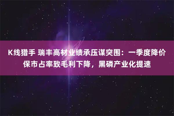 K线猎手 瑞丰高材业绩承压谋突围：一季度降价保市占率致毛利下降，黑磷产业化提速