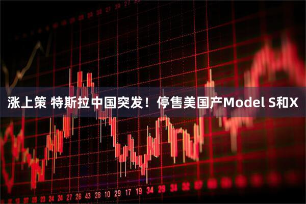 涨上策 特斯拉中国突发!停售美国产Model S和X