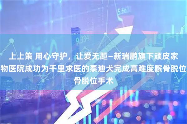 上上策 用心守护,让爱无距—新瑞鹏旗下顽皮家族动物医院成功为千里求医的泰迪犬完成高难度髌骨脱位手术