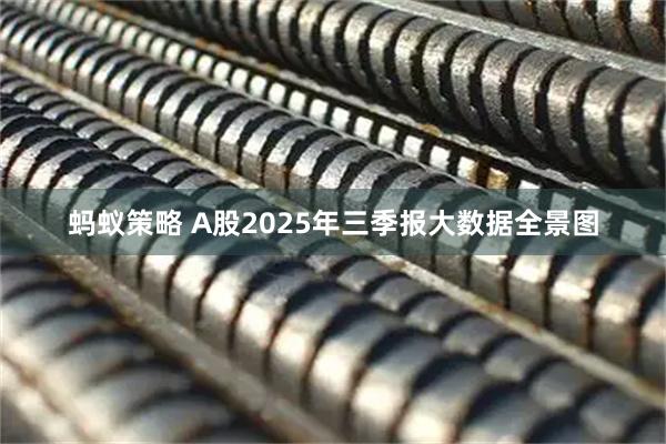 蚂蚁策略 A股2025年三季报大数据全景图